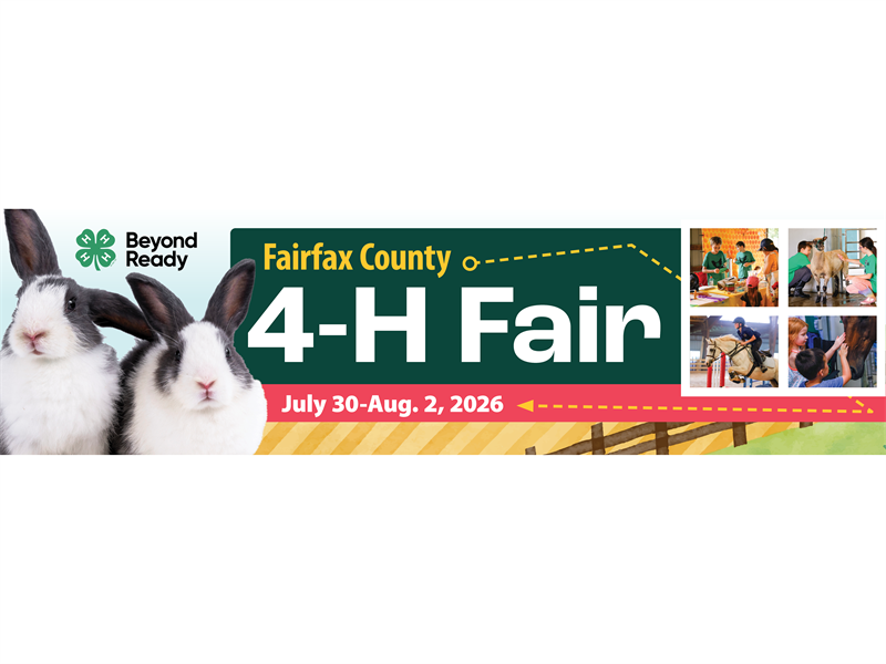 Fair Logo
